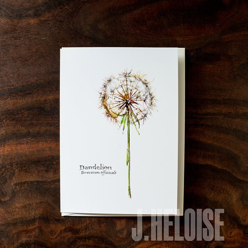 Greeting Card - Dandelion - J.Heloise